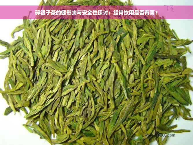 碎银子茶的健影响与安全性探讨：经常饮用是否有害？