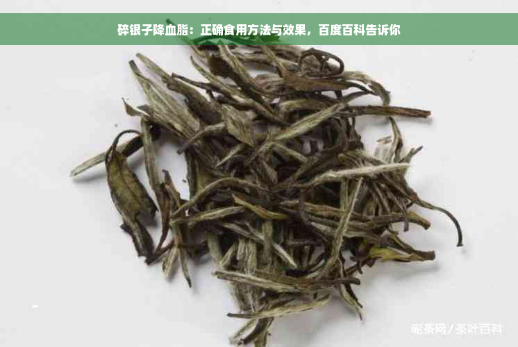 碎银子降血脂：正确食用方法与效果，百度百科告诉你