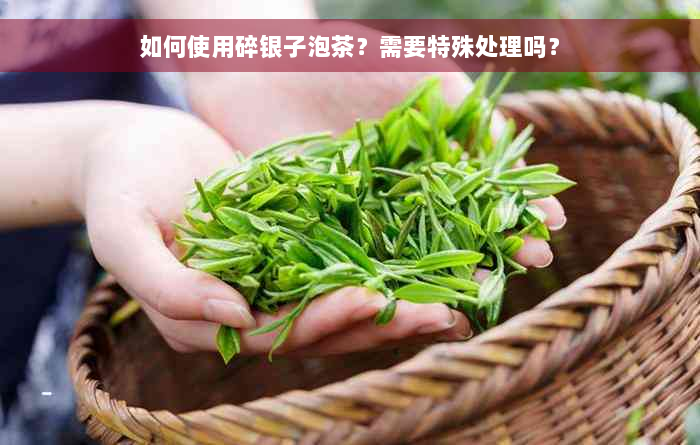 如何使用碎银子泡茶？需要特殊处理吗？