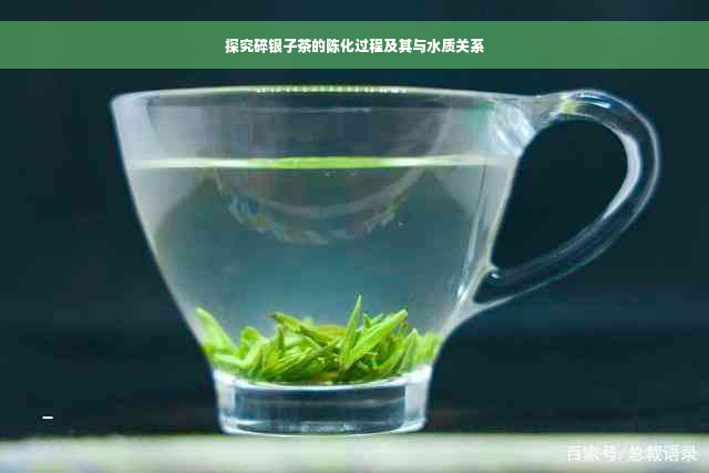 探究碎银子茶的陈化过程及其与水质关系