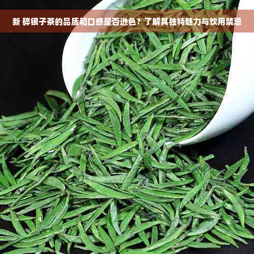 新 碎银子茶的品质和口感是否逊色？了解其独特魅力与饮用禁忌