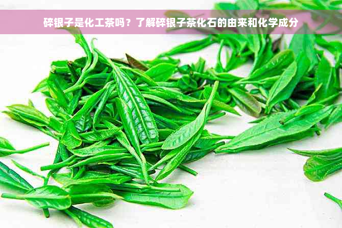 碎银子是化工茶吗？了解碎银子茶化石的由来和化学成分