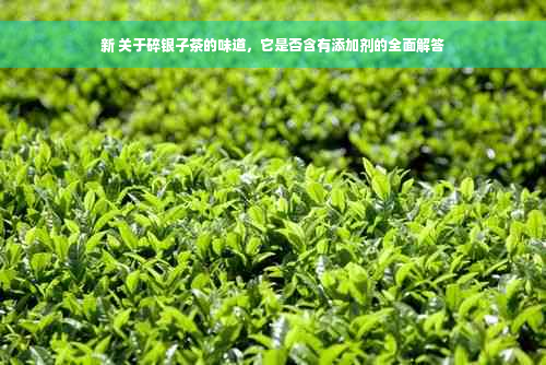 新 关于碎银子茶的味道，它是否含有添加剂的全面解答