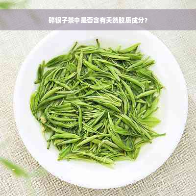 碎银子茶中是否含有天然胶质成分？