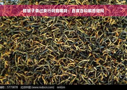 碎银子茶过夜行吗能喝吗：百度百科解答疑问