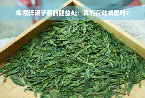 探索碎银子茶的健益处：真能有效减肥吗？