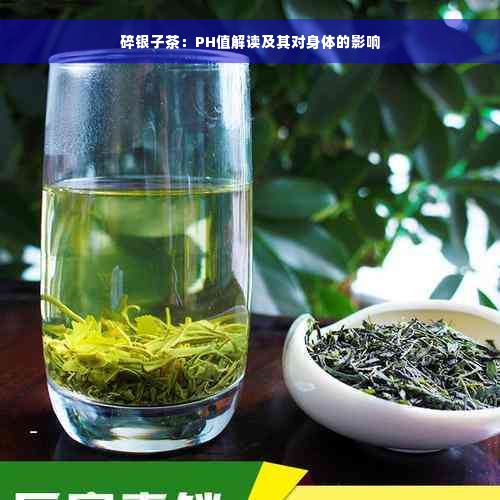 碎银子茶：PH值解读及其对身体的影响