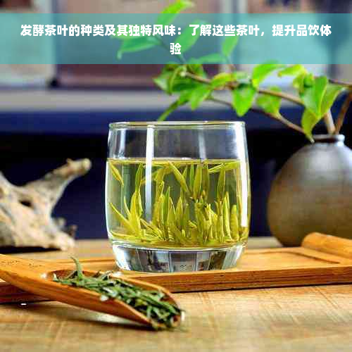 发酵茶叶的种类及其独特风味：了解这些茶叶，提升品饮体验