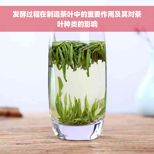 发酵过程在制造茶叶中的重要作用及其对茶叶种类的影响