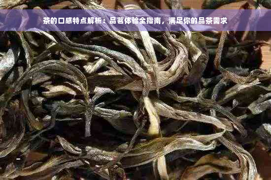 茶的口感特点解析：品茗体验全指南，满足你的品茶需求