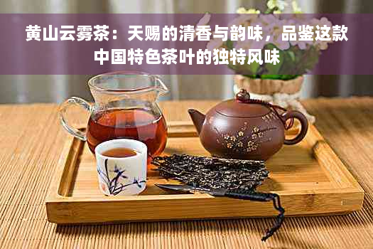 黄山云雾茶：天赐的清香与韵味，品鉴这款中国特色茶叶的独特风味