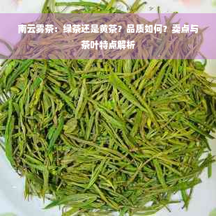 南云雾茶：绿茶还是黄茶？品质如何？卖点与茶叶特点解析