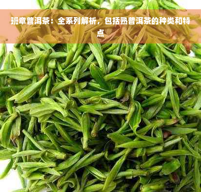 班章普洱茶：全系列解析，包括熟普洱茶的种类和特点