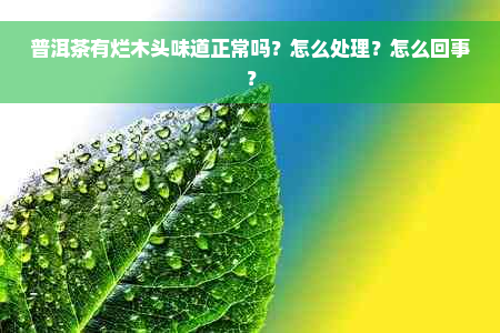 普洱茶有烂木头味道正常吗？怎么处理？怎么回事？