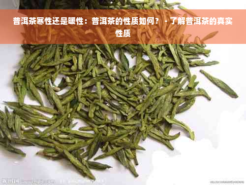 普洱茶寒性还是暖性：普洱茶的性质如何？ - 了解普洱茶的真实性质