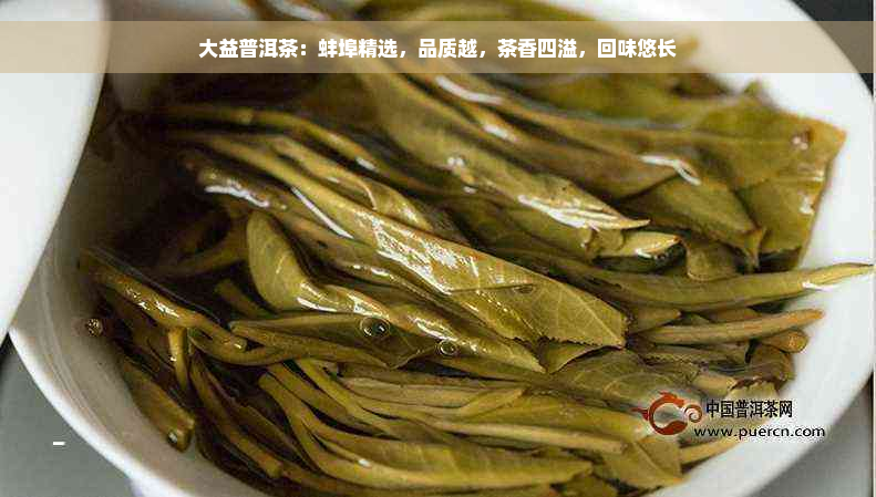 大益普洱茶：蚌埠精选，品质越，茶香四溢，回味悠长