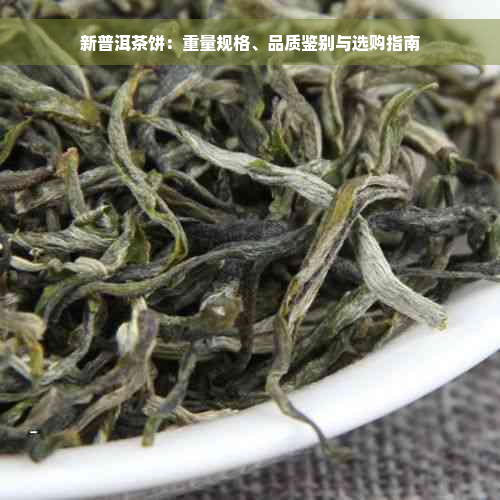 新普洱茶饼：重量规格、品质鉴别与选购指南