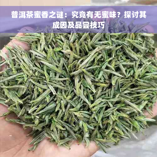 普洱茶蜜香之谜：究竟有无蜜味？探讨其成因及品尝技巧