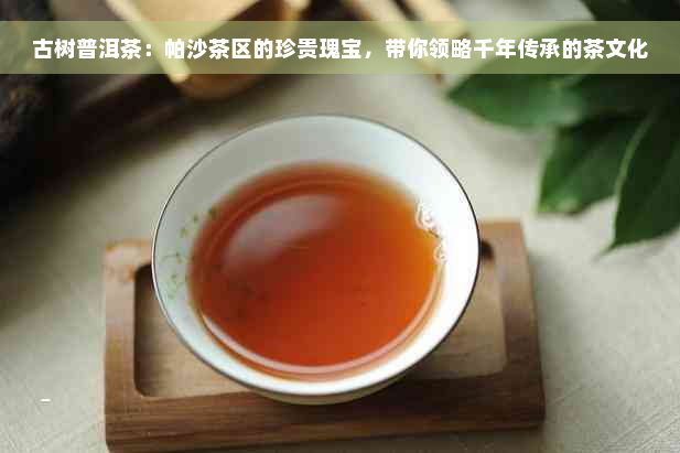 古树普洱茶：帕沙茶区的珍贵瑰宝，带你领略千年传承的茶文化