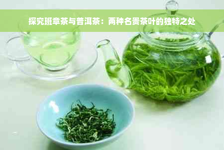 探究班章茶与普洱茶：两种名贵茶叶的独特之处