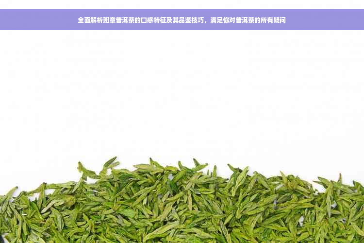 全面解析班章普洱茶的口感特征及其品鉴技巧，满足你对普洱茶的所有疑问