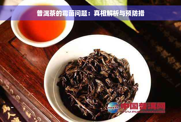 普洱茶的霉菌问题：真相解析与预防措