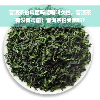 普洱茶怕霉菌吗能喝吗女性，普洱茶有没有霉菌？普洱茶怕受潮吗？