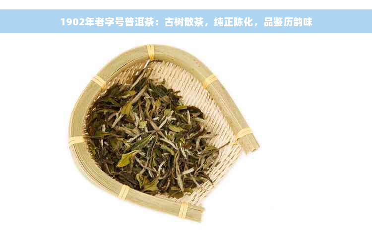 1902年老字号普洱茶：古树散茶，纯正陈化，品鉴历韵味