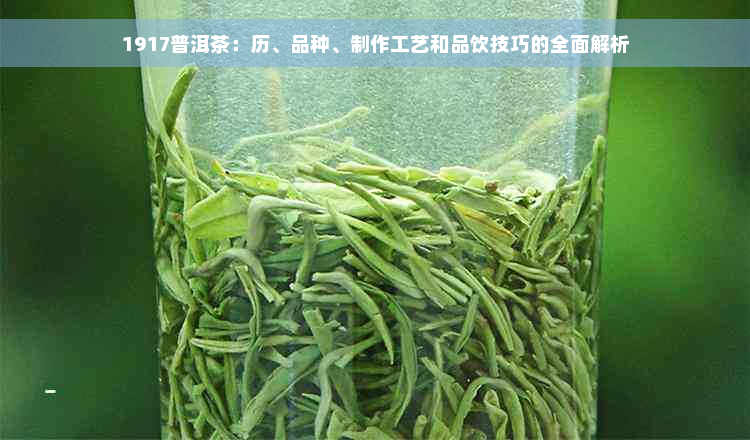 1917普洱茶：历、品种、制作工艺和品饮技巧的全面解析