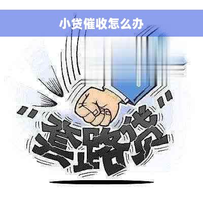 小贷催收怎么办