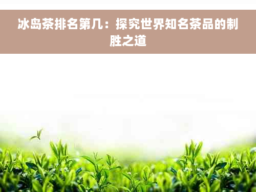 冰岛茶排名第几：探究世界知名茶品的制胜之道