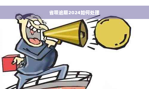 省呗逾期2024如何处理