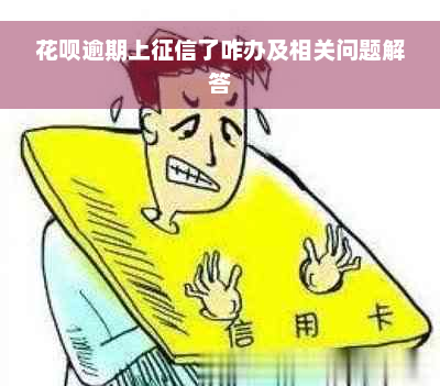 花呗逾期上征信了咋办及相关问题解答