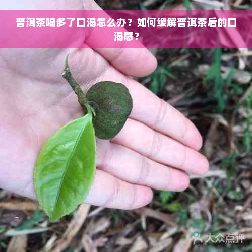 普洱茶喝多了口渴怎么办？如何缓解普洱茶后的口渴感？