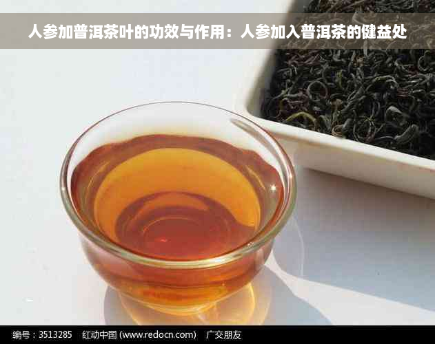 人参加普洱茶叶的功效与作用：人参加入普洱茶的健益处