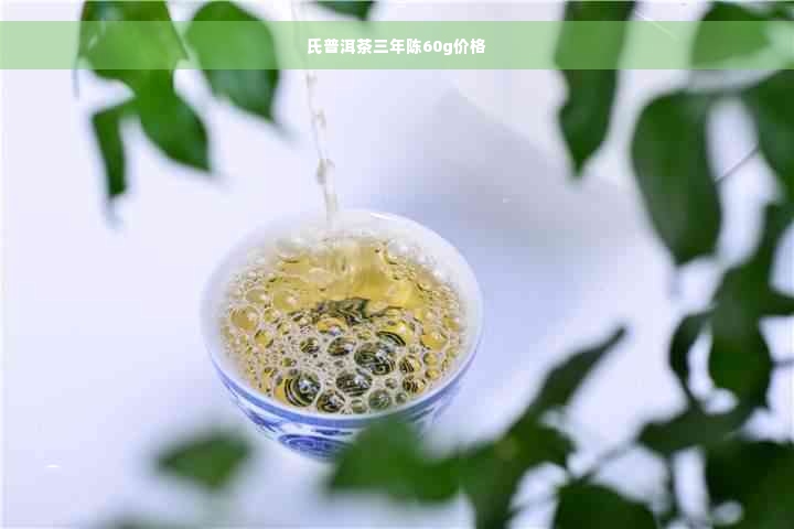 氏普洱茶三年陈60g价格