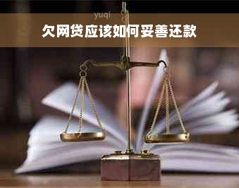 欠网贷应该如何妥善还款