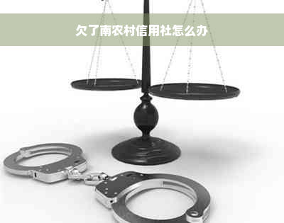 欠了南农村信用社怎么办