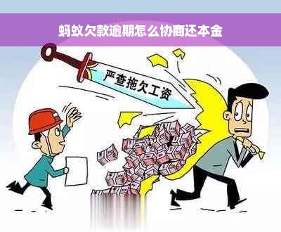 蚂蚁欠款逾期怎么协商还本金