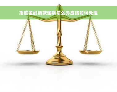 招联金融借款逾期怎么办应该如何处理