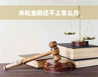 米粒金融还不上怎么办