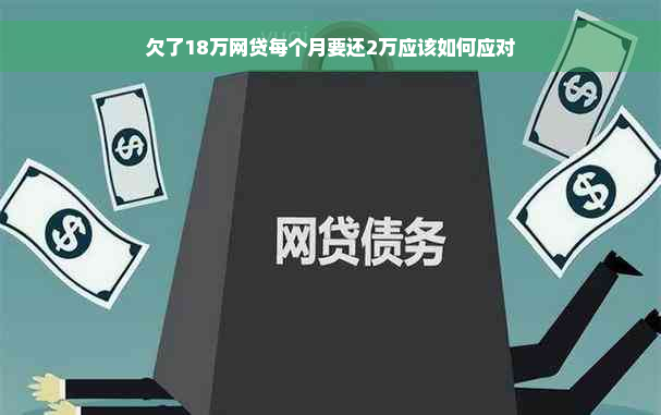 欠了18万网贷每个月要还2万应该如何应对