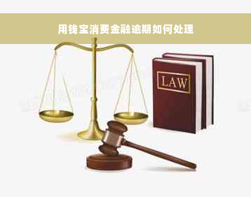 用钱宝消费金融逾期如何处理