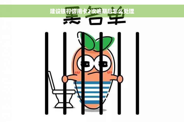 建设银行信用卡2次逾期后怎么处理