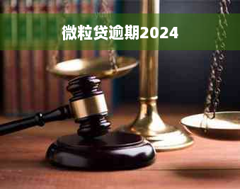 微粒贷逾期2024