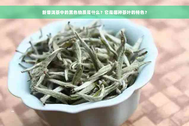 新普洱茶中的黑色物质是什么？它是哪种茶叶的特色？