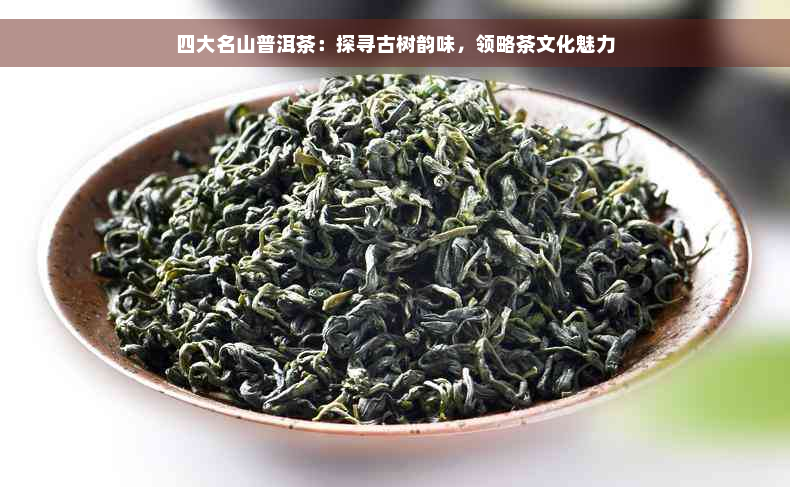 四大名山普洱茶：探寻古树韵味，领略茶文化魅力