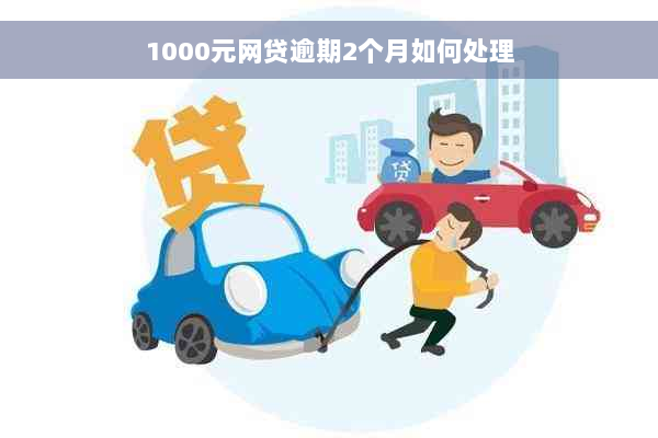 1000元网贷逾期2个月如何处理