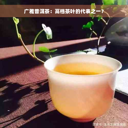 广雅普洱茶：高档茶叶的代表之一？