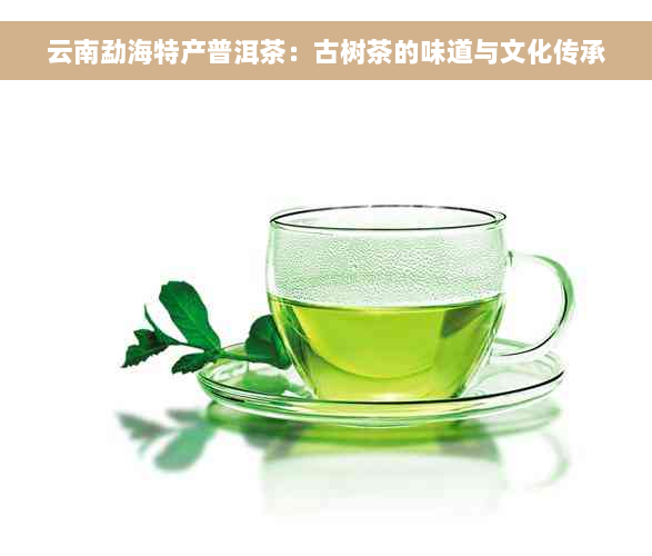 云南勐海特产普洱茶：古树茶的味道与文化传承